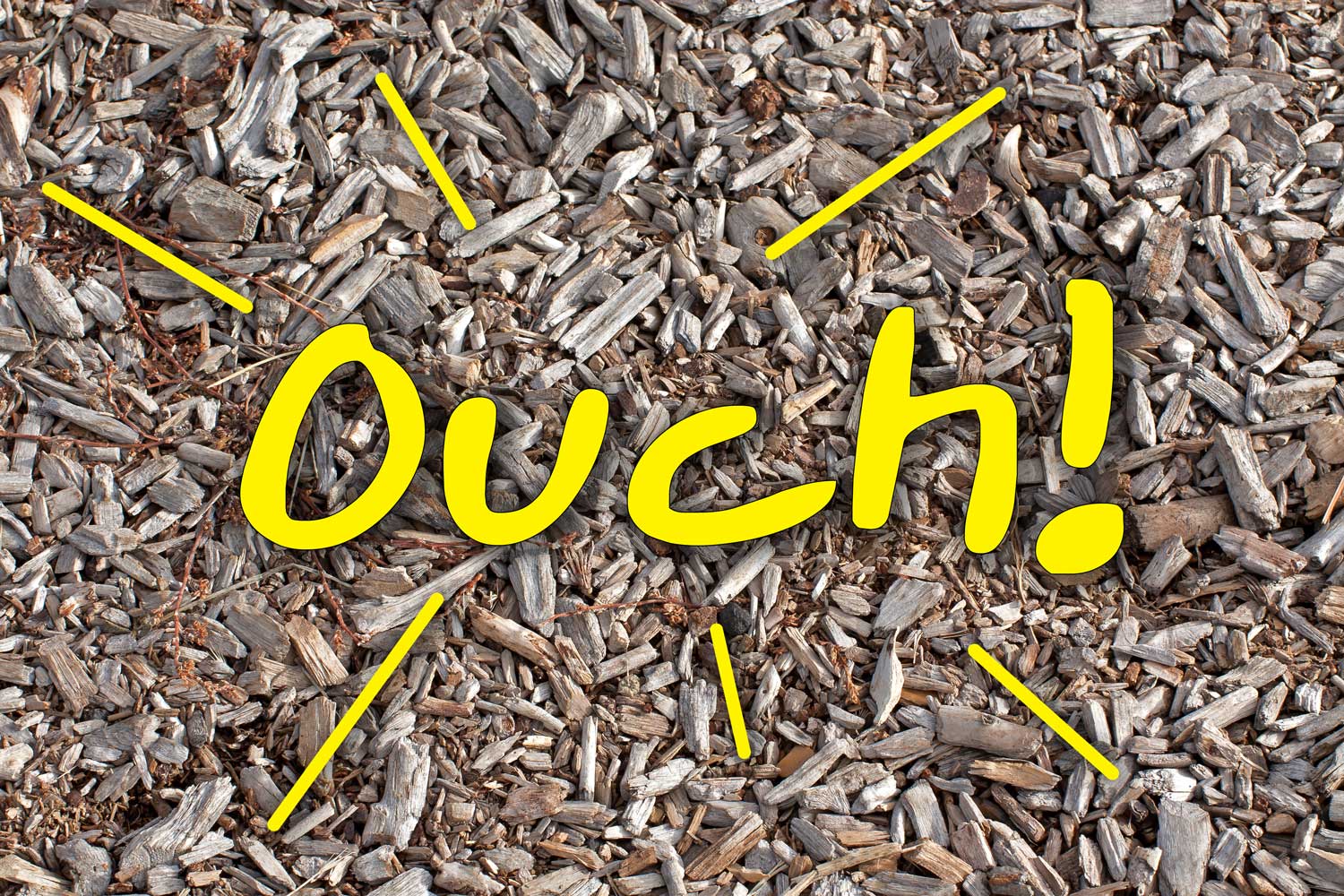 5 Reasons Why Wood Chips Are Not A Good, What Kind Of Wood Mulch For Playground