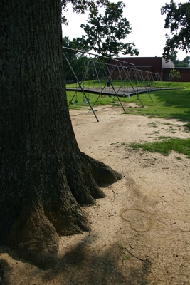 Natural Grass Playgrounds Typically Have Dirt Patches